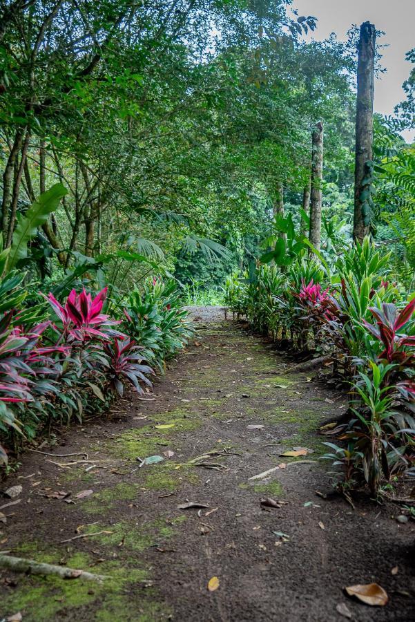 Hotel Los Rios Guácimo 外观 照片