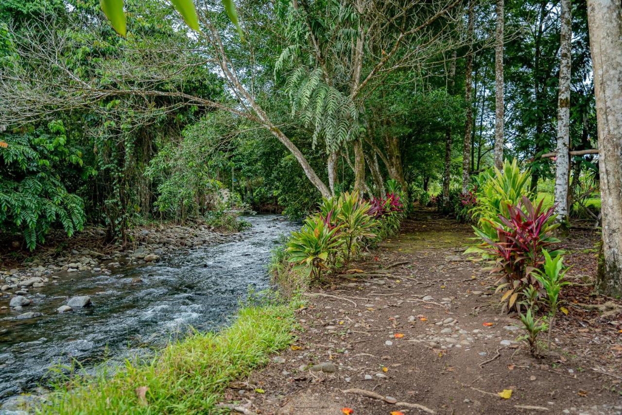 Hotel Los Rios Guácimo 外观 照片
